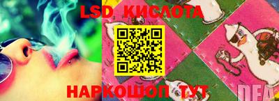прущие грибы Жуковский