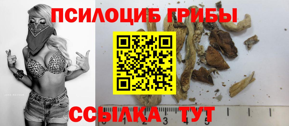 Галлюциногенные грибы мицелий  Вход с VPN  Мурино 